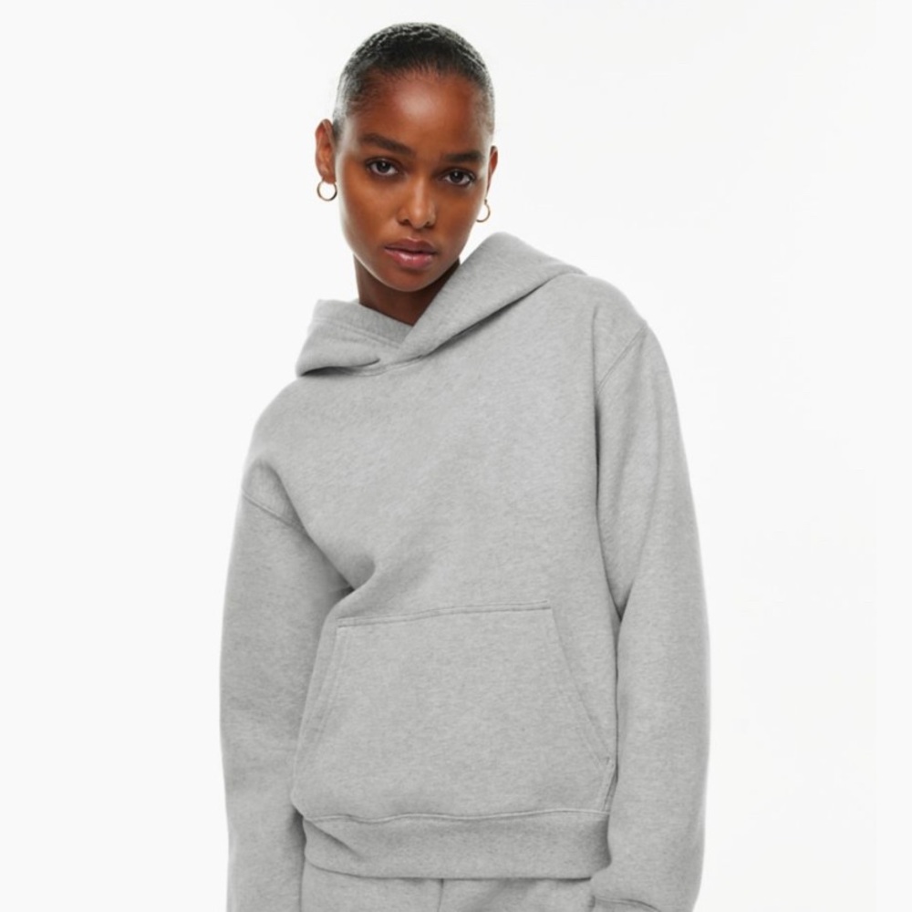 Aritzia TNA Gray Hoodie